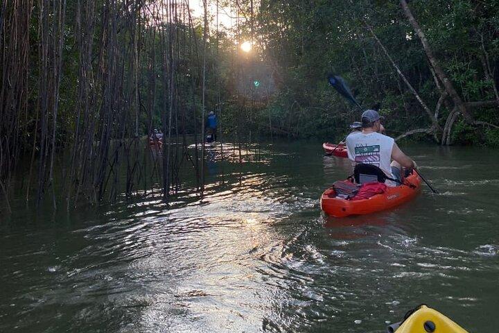 Excursion en kayak dans les mangroves à Manuel Antonio