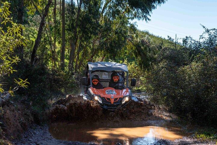 Halbtägige Buggy-Tour