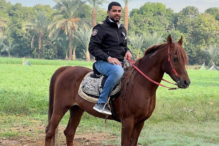 Traditional Egyptian Breakfast at the AlHabib Arabian Horse Farm