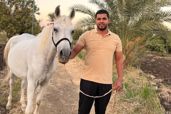 Traditional Egyptian Breakfast at the AlHabib Arabian Horse Farm