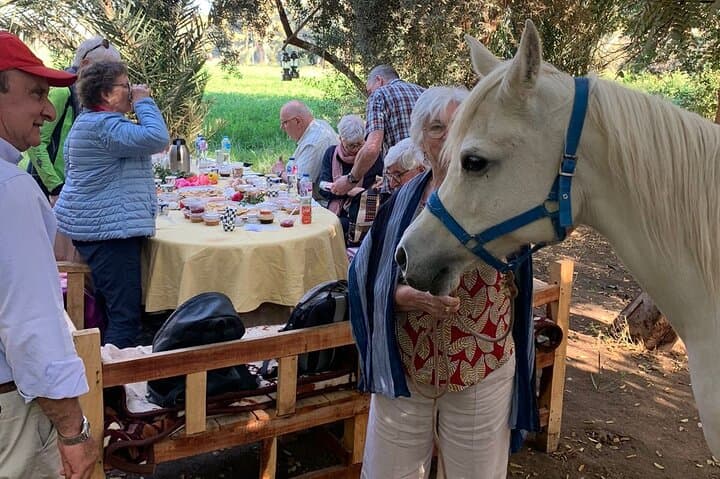 Traditional Egyptian Breakfast at the AlHabib Arabian Horse Farm