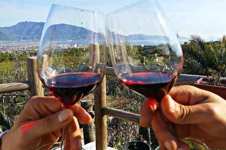 Pompeii and wine tasting on the slopes of Vesuvius from Naples