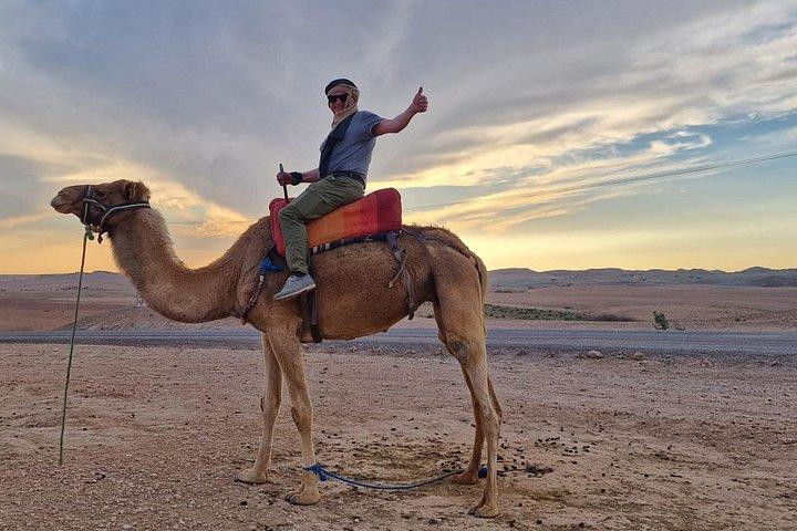 Private: Magical Dinner And Agafay Desert & Sunset Camel Ride