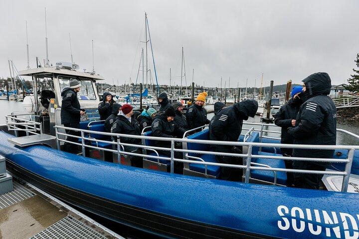 Excursión de Avistamiento de Ballenas Anacortes - Zodiac Boat