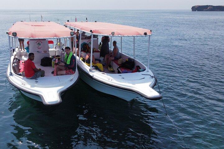 Snorkelture til Daymaniat Islands Sharing Trip