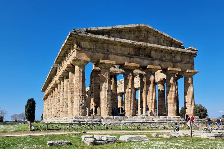 Temples of Paestum tour and buffalo mozzarella tasting