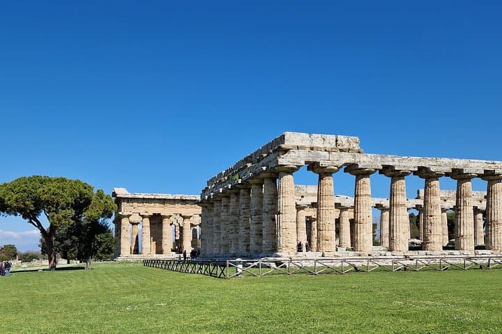 Temples of Paestum tour and buffalo mozzarella tasting