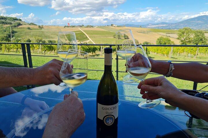 Tour del vino di Montefalco con pranzo a tavola (2 Cantine)