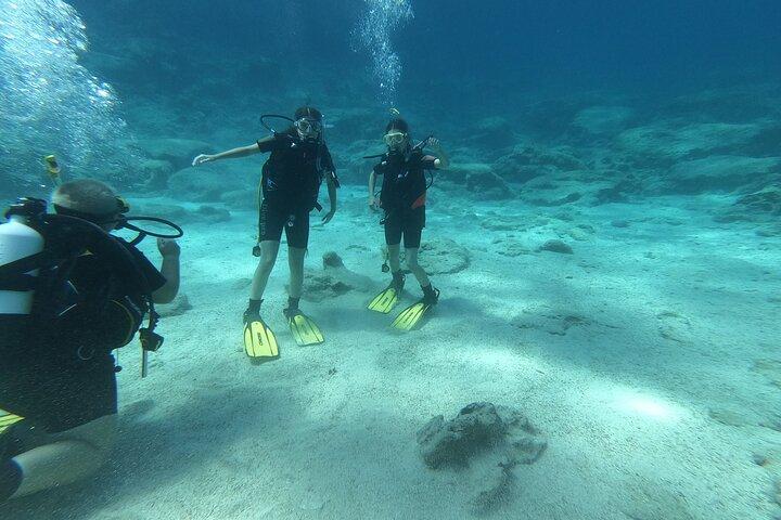 Scuba Diving Cyprus Experience Protaras and Ayia Napa & Turtles