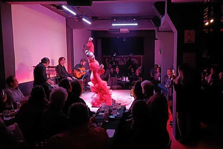 メキシコシティでのフラメンコのライブショーとディナー