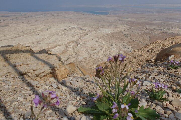 Private Day Tour in Masada en de Dode Zee