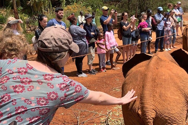 Day Tour to Nairobi national park, Elephants, and Giraffe Center