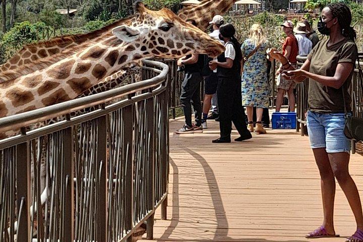 ナイロビ国立公園、ゾウ、キリン センターへの日帰りツアー