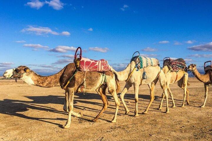 Magical Dinner and Quad ride in Agafay Desert