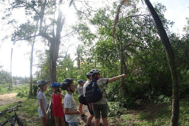 Sendero natural para ciclistas: arrozales, bosques de canela y pueblos - Galle