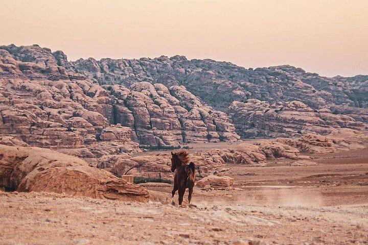 3-stündiges Reitabenteuer in der Gegend von Petra