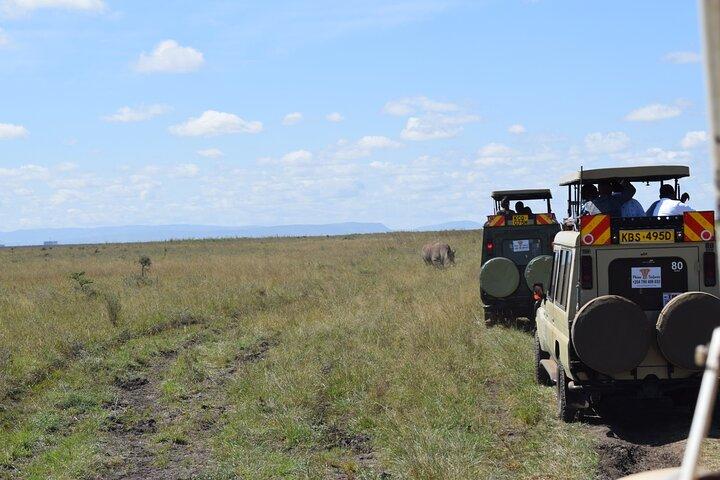 Tour van een halve dag in het nationale park Nairobi