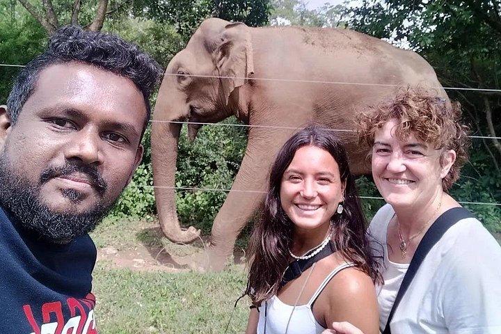 ミリッサ/ウェリガマからエラへの旅を伴うウダワラウェ国立公園サファリ