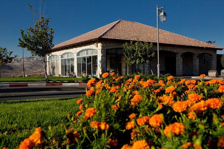 visite privée de shiloh et shomron