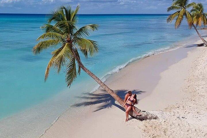 Saona Island Full Day Tour Lunch en vervoer inbegrepen