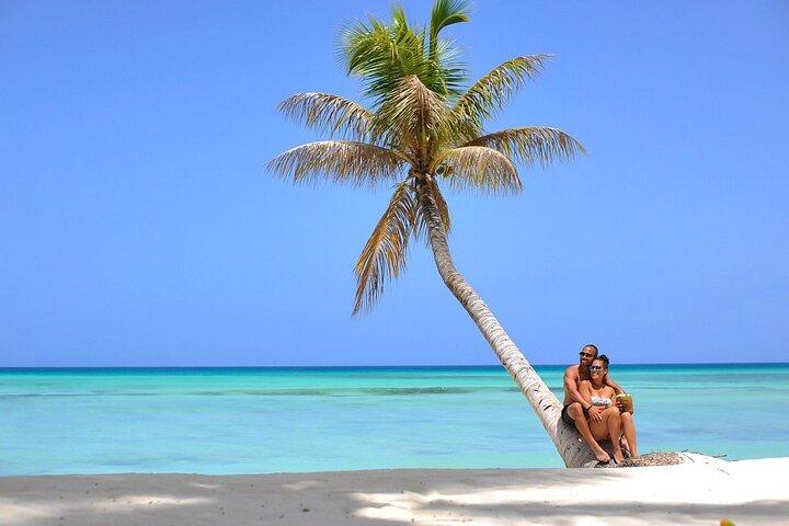 Saona Island Full Day Tour Lunch en vervoer inbegrepen