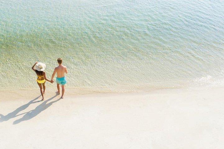 Book Your Drone Photography Videography Session Drone Today