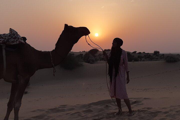 Abseits der ausgetretenen Pfade: Kamelsafari-Tour mit Übernachtung in Jaisalmer