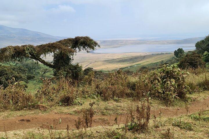 5 Dages Safari Lodges & Kultur
