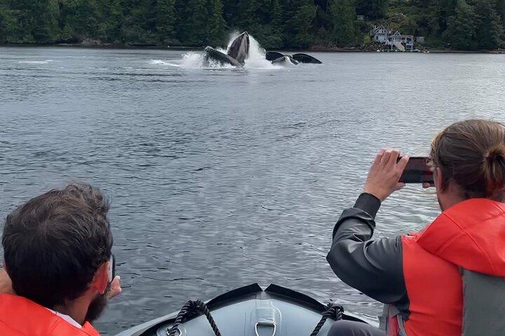 Anmeldelse af Ketchikan Zodiac Boat Adventure