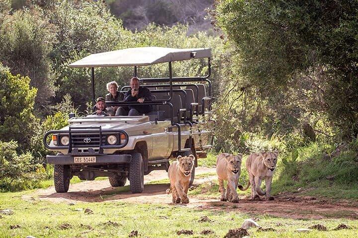 Visite privée de 3 jours et 2 nuits de la Garden Route au départ du Cap
