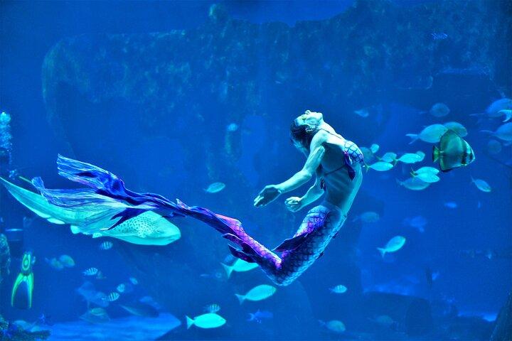 Inträdesbiljett till Aquarium Phuket