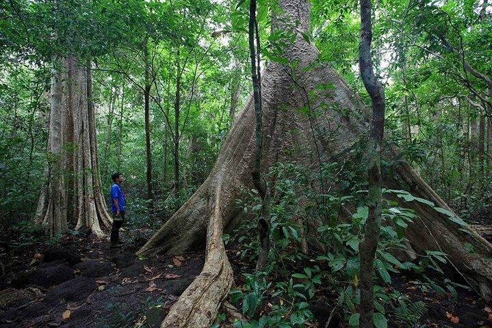 Excursão de 2 dias no Parque Nacional Cat Tien