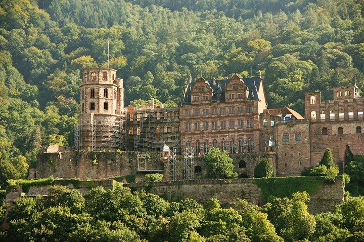Tour esclusivo di Heidelberg - Città vecchia, passeggiata panoramica e ingresso al castello