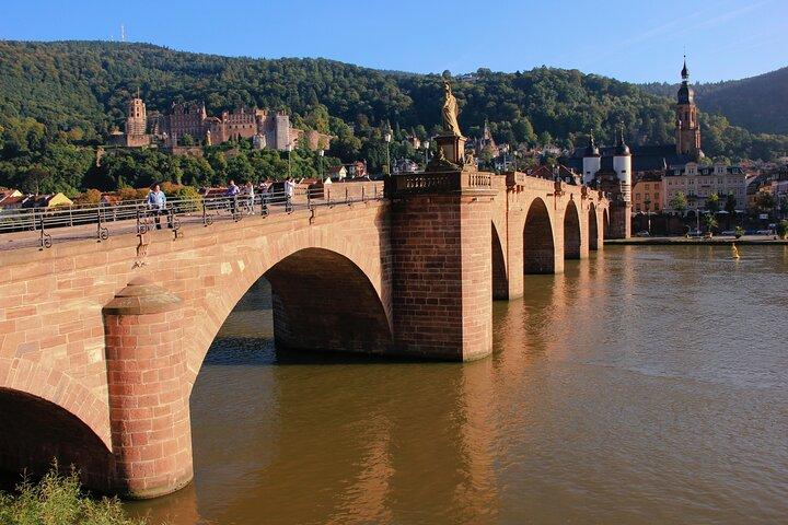 Tour esclusivo di Heidelberg - Città vecchia, passeggiata panoramica e ingresso al castello