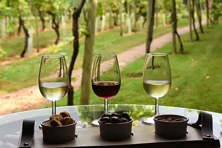 Pompeii and Cantina del Vesuvio Winery Private Tour
