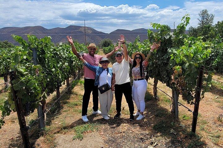 Weekday Wine Tour Special +Local Pick-up in Temecula Wine Country