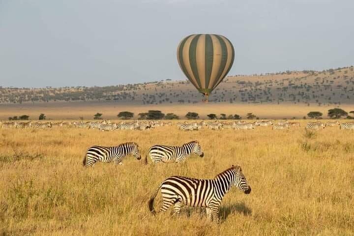 10 dages Wildebeest River Crossing Tour
