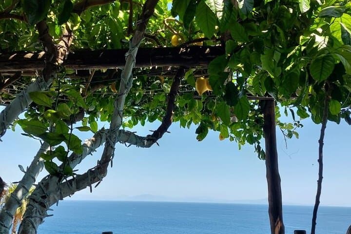 Private tour Amalfi Coast full day from Napoli or Amalfi Coast