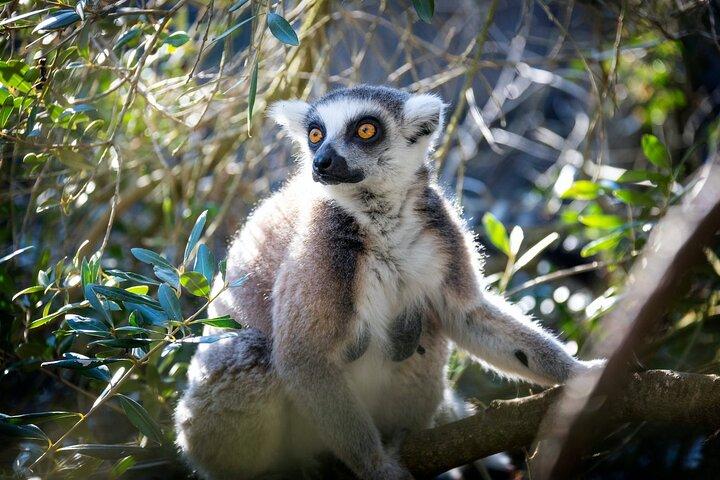 Entrada al zoológico de Pafos