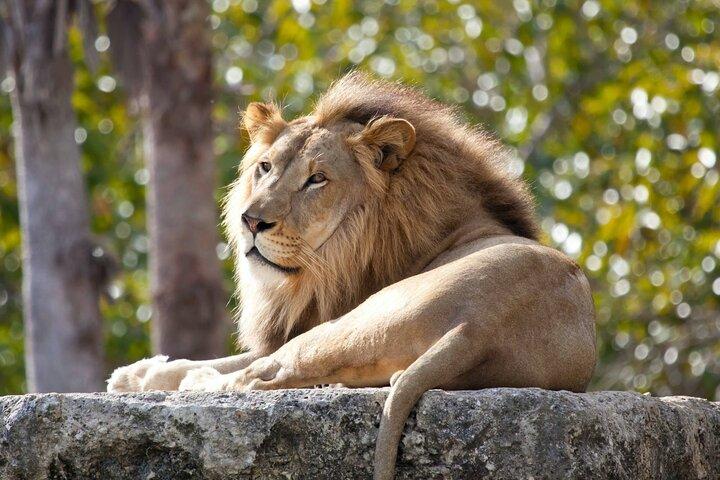 Entrada al zoológico de Pafos