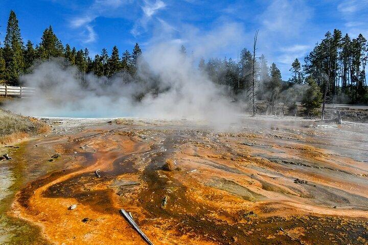 Yellowstone, Grand Teton och Grand Circle Adventure: 7 parker 9 dagar