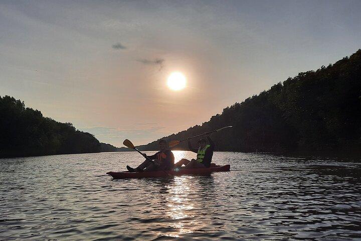 Exploração do rio e Mangrove Nature Tour por caiaque