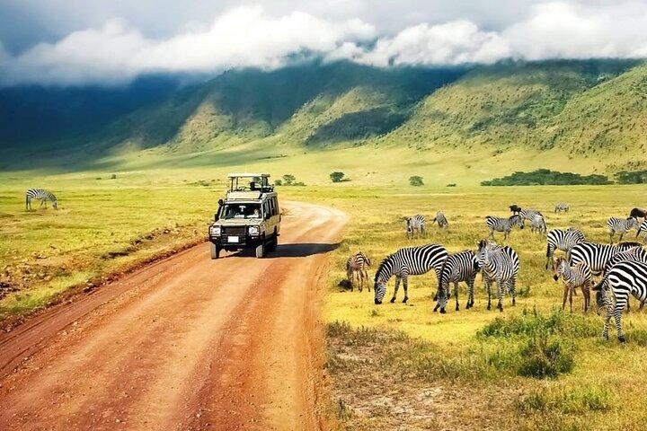 5 Days Mid-Range Lodge Safari till Lake Manyara, Serengeti & Ngorongoro.