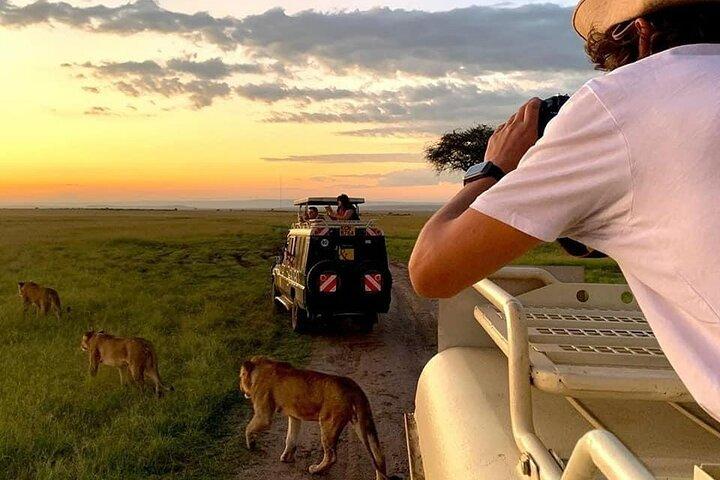 2 Days Budgeted Safari Tarangire , Lake Manyara & Ngorongoro Park