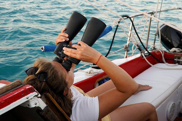 Laguna Bacalar での 6 時間のディープ ナビゲーション: セノーテ、島々、ストロマトライト。