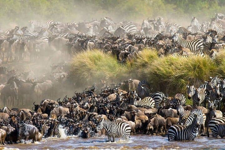 Maasai Mara 3 Day Guided Tour