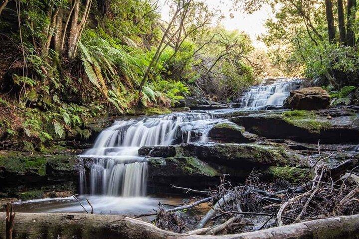 Blue Mountains Luxury Tour vanuit Sydney