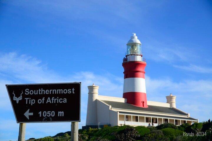 Cape Agulhas : Where Indian Meets Atlantic — Excursion privée d'une journée
