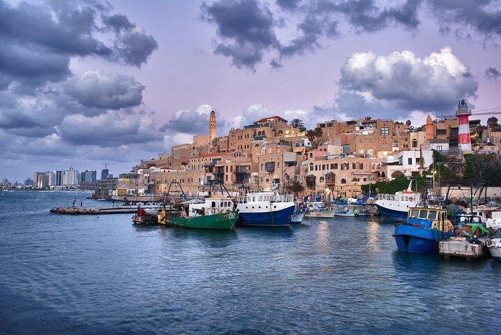 Tel Aviv: Privat vandringstur med en guide (privat rundtur)