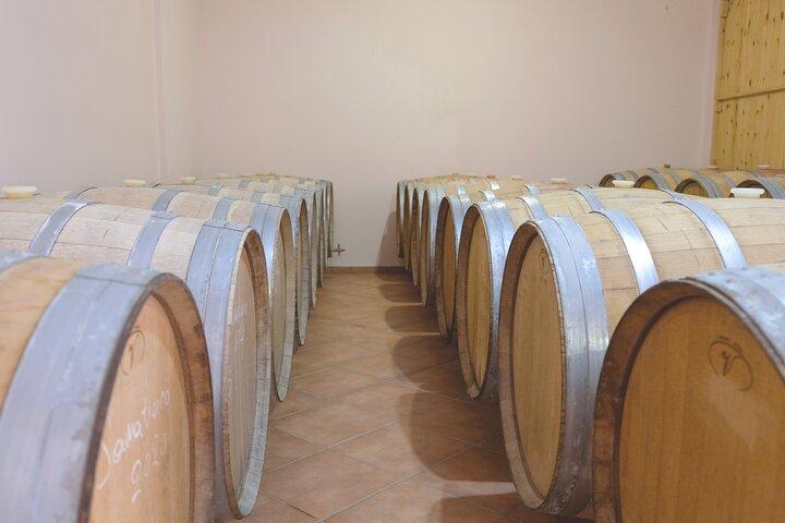 Tour Privado e Degustação na Vinícola Zeginis
